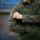Combat Fleece Weste oliv XXL