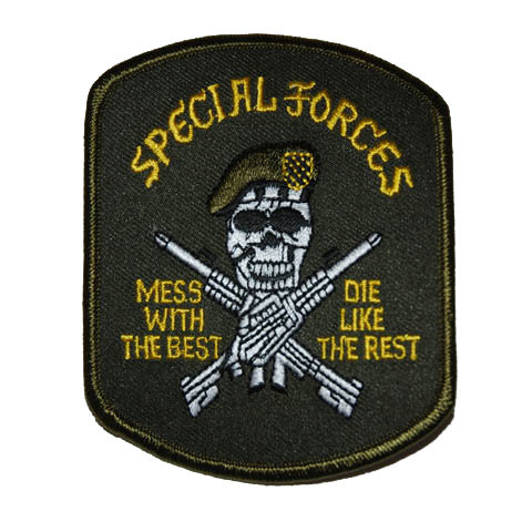 Special Forces Skull Patch