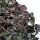 Brit. Tarnnetz oliv gebr. 3x4 m