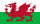 Wales Fahne 150x90
