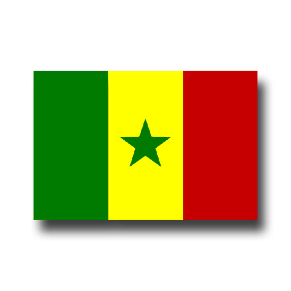 Senegal 150x90cm original Fahnenstoff