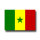 Senegal 150x90cm original Fahnenstoff